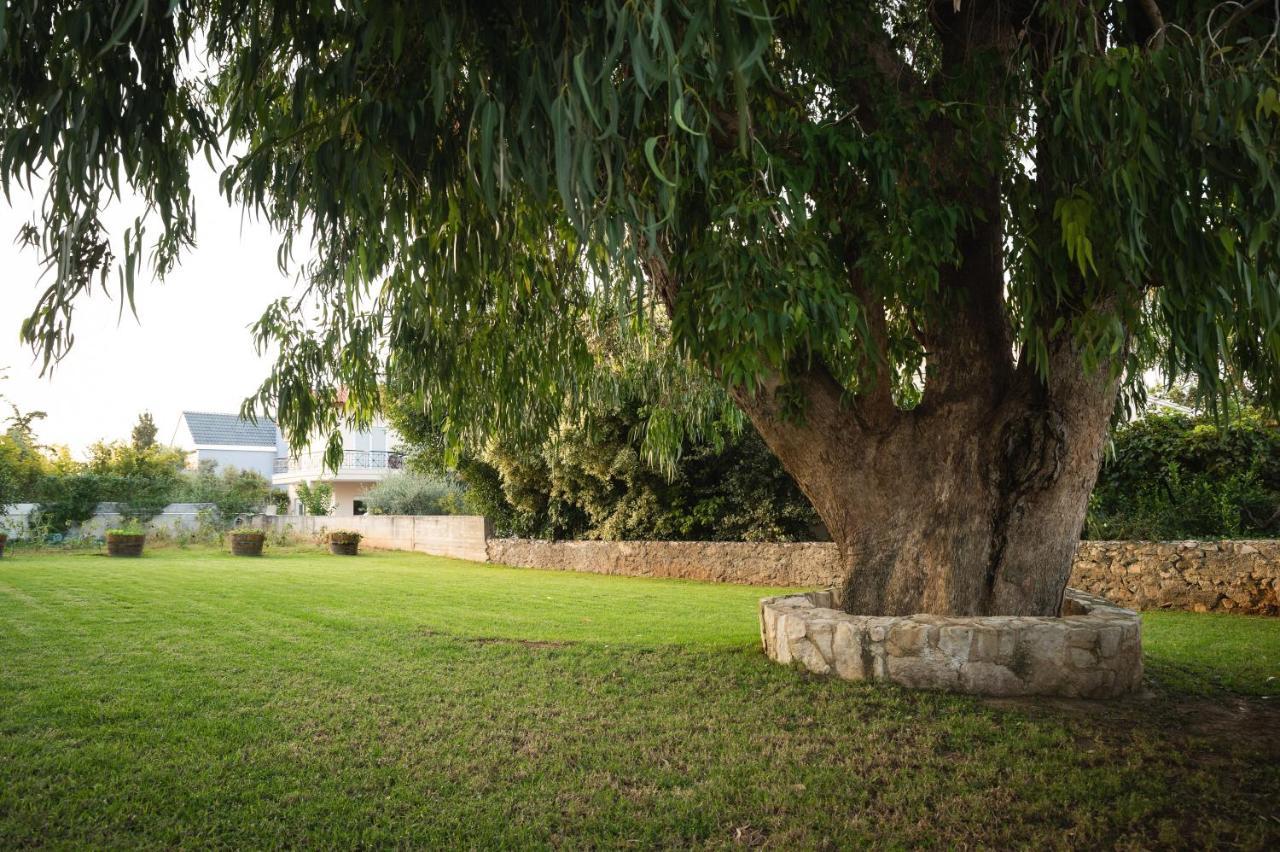 Cedar Tree Villa Kounoupidhianá Zewnętrze zdjęcie